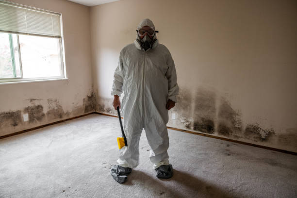 Best Industrial Mold Remediation in San Joaquin, CA